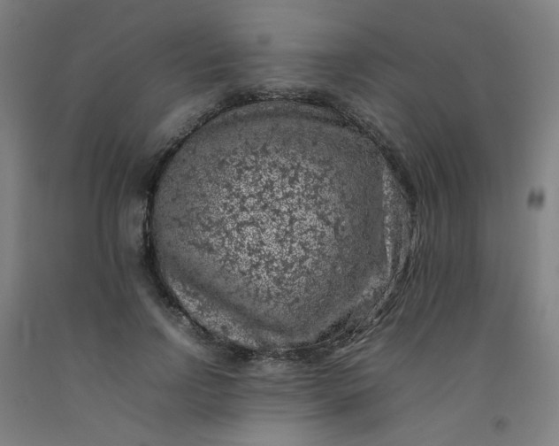 X0000092220742200709281043