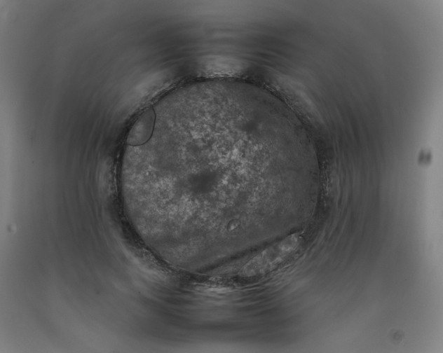 X0000092220743200709281043