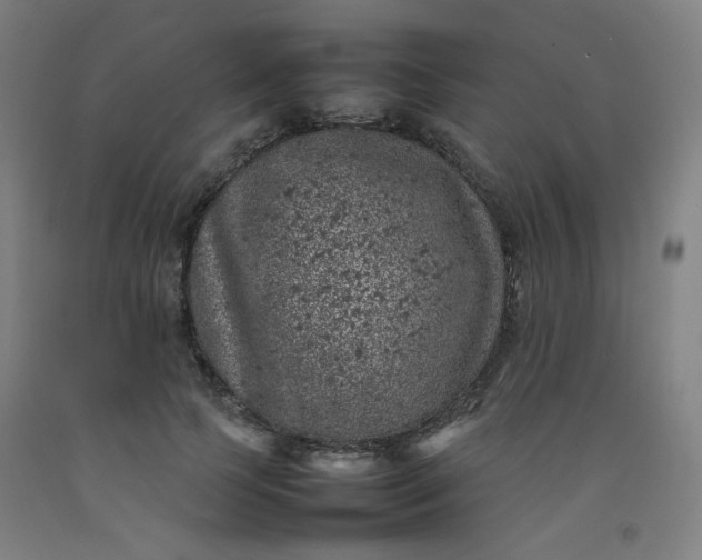 X0000092220745200709281043