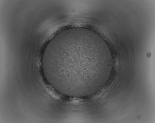 X0000092220746200709281043