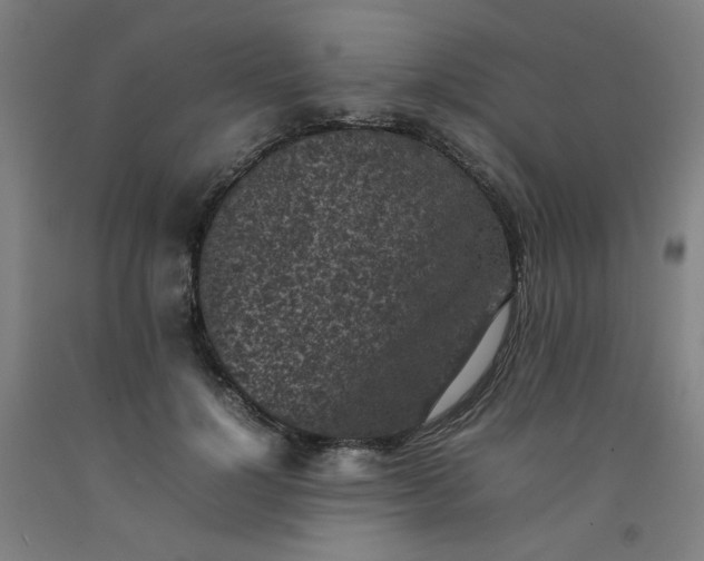 X0000092220748200709281043