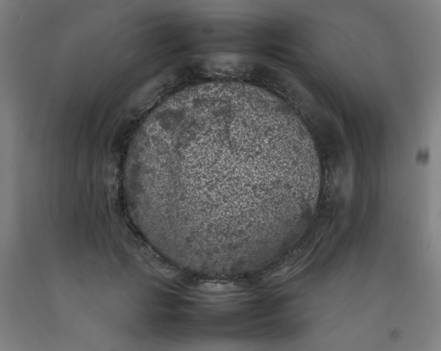 X0000092220749200709281043
