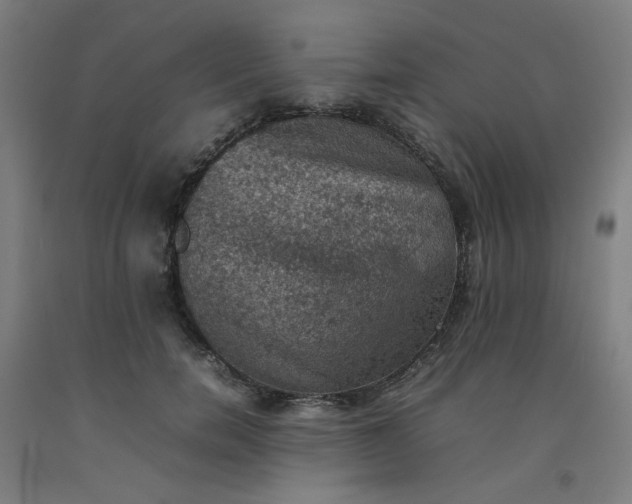 X0000092220750200709281043