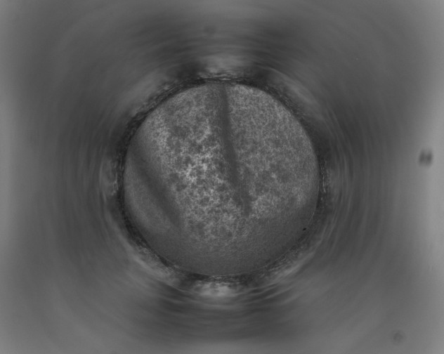X0000092220751200709281043