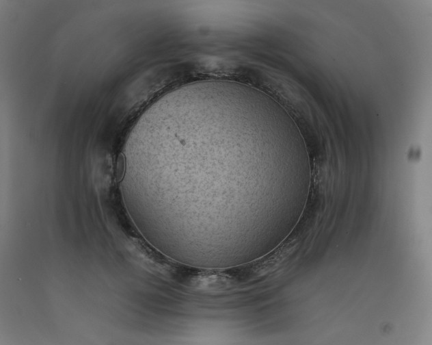 X0000092220752200709281043
