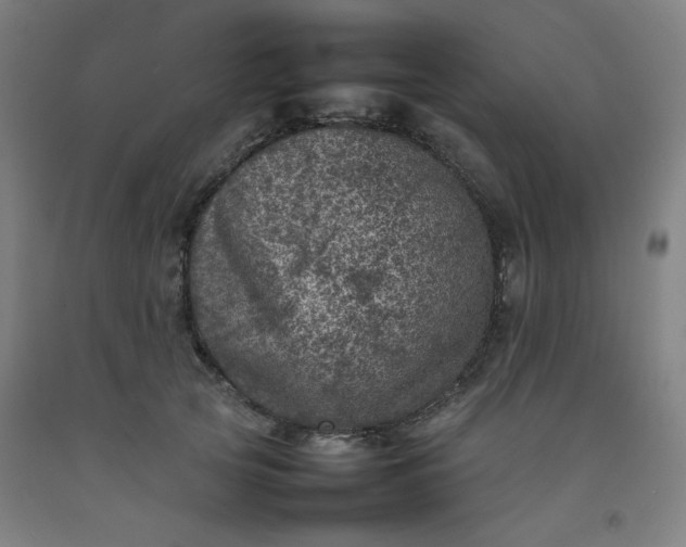 X0000092220753200709281043