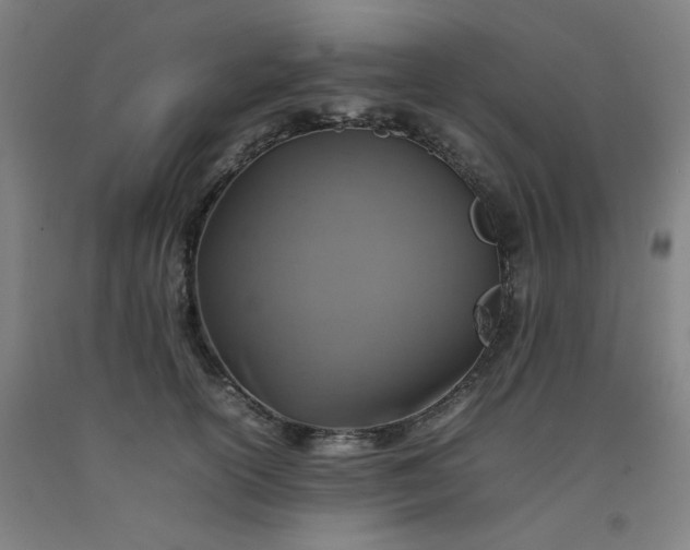 X0000092220754200709281043