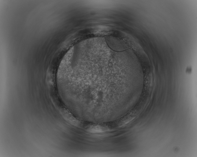 X0000092220755200709281043