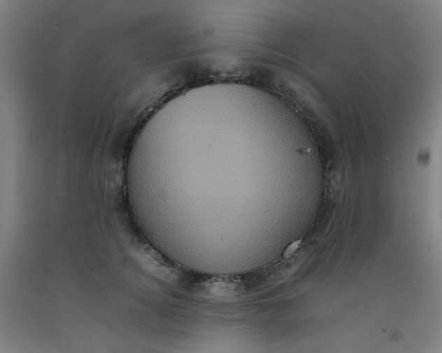 X0000092220756200709281043