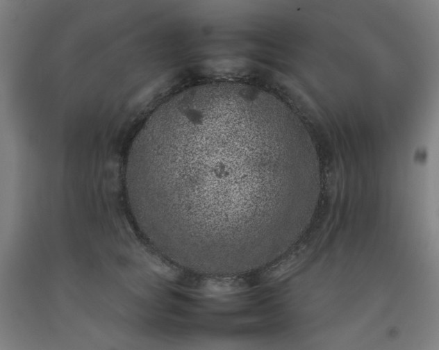 X0000092220757200709281043
