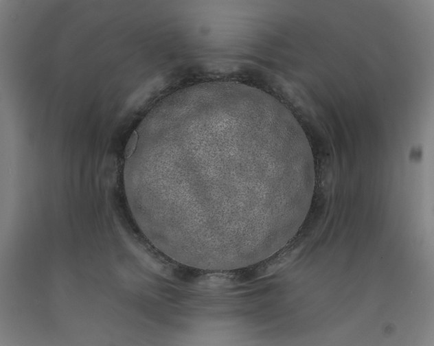 X0000092220758200709281043