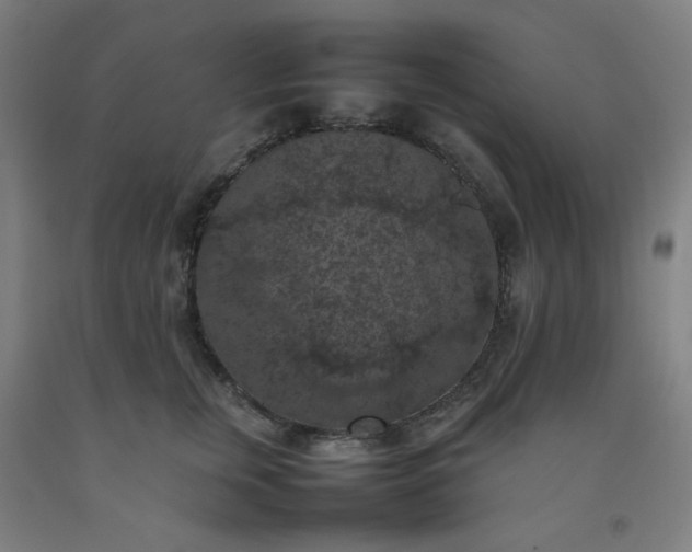 X0000092220759200709281043
