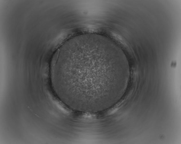 X0000092220760200709281043