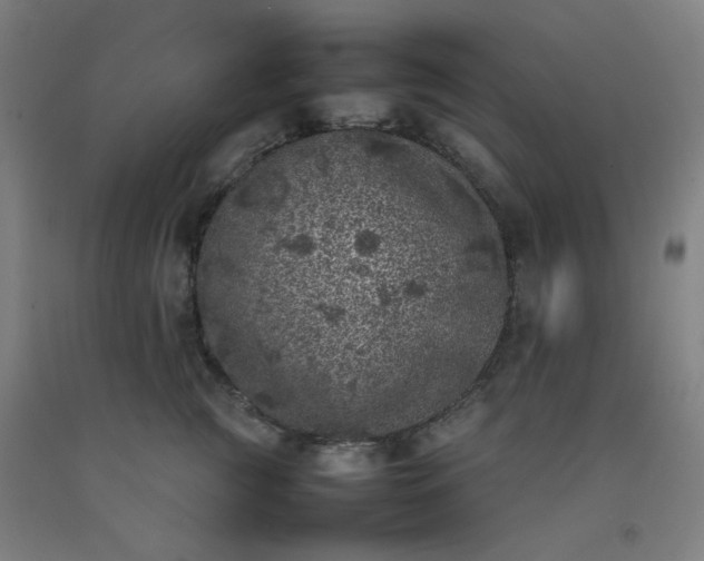 X0000092220761200709281043