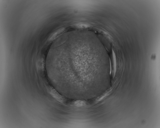 X0000092220762200709281043