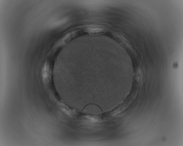 X0000092220763200709281043