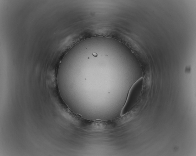 X0000092220764200709281043