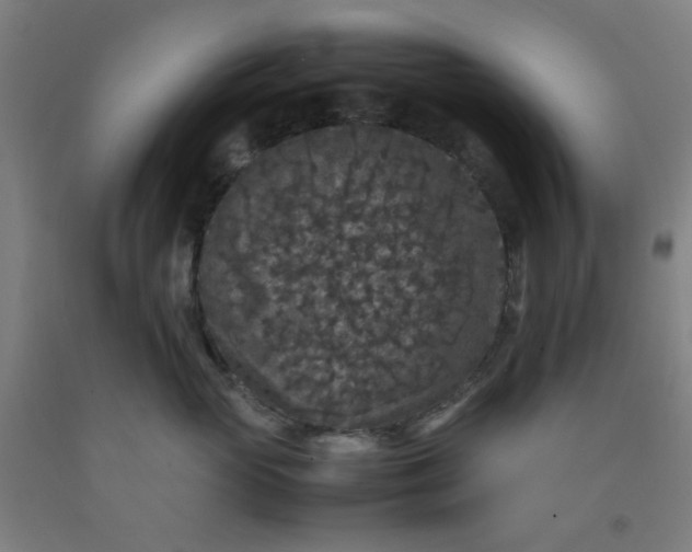 X0000092220765200709281043