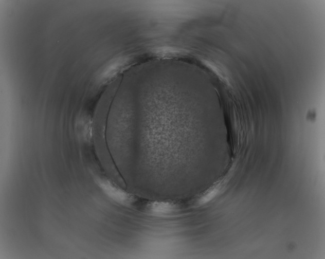 X0000092220766200709281043