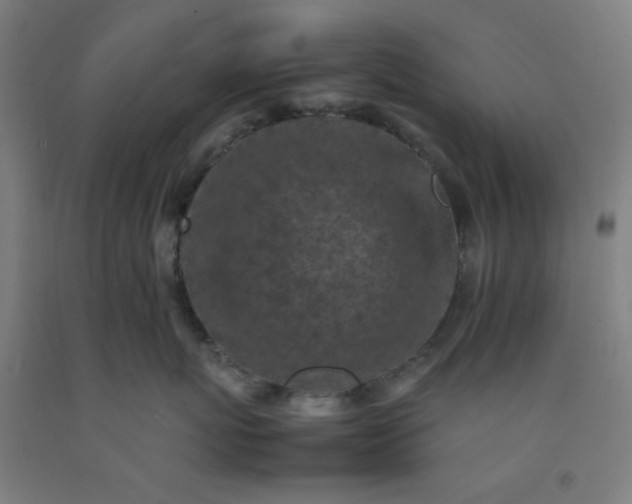 X0000092220767200709281043
