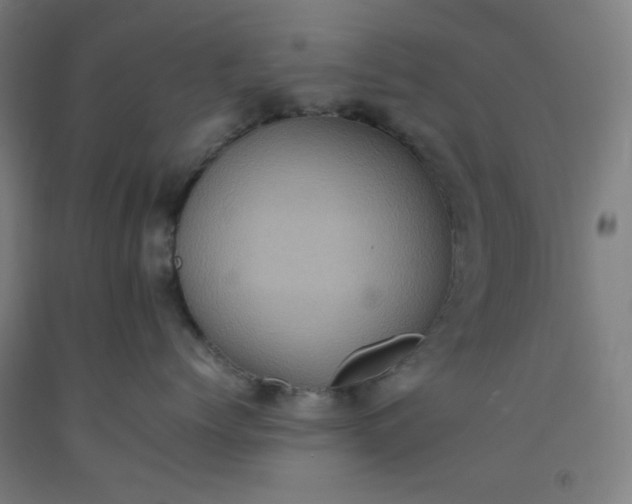 X0000092220768200709281043