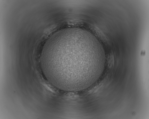 X0000092220770200709281042