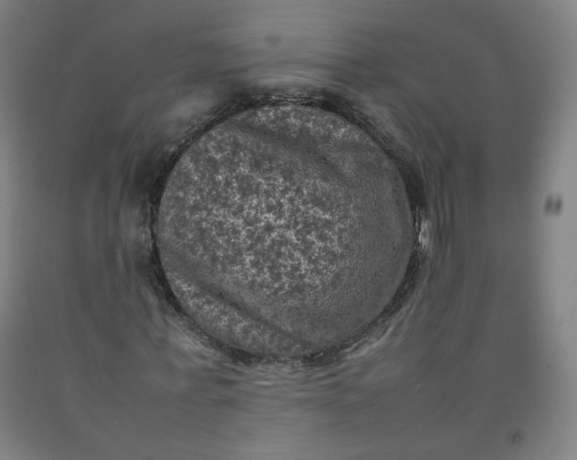 X0000092220771200709281042