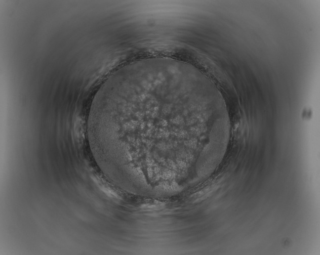 X0000092220772200709281042