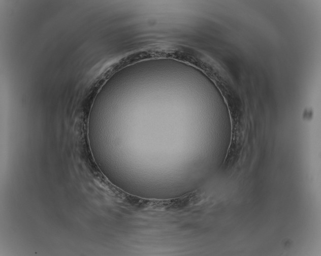 X0000092220773200709281042