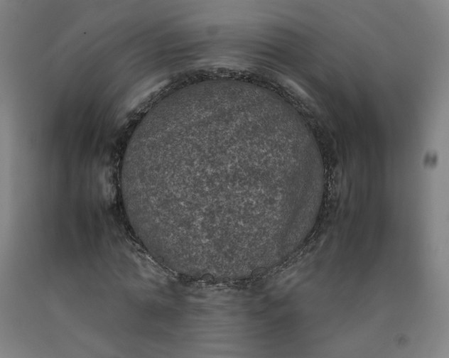 X0000092220774200709281042