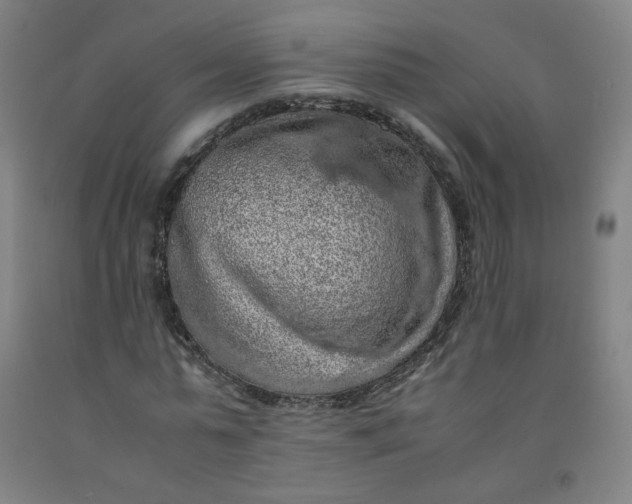 X0000092220775200709281042