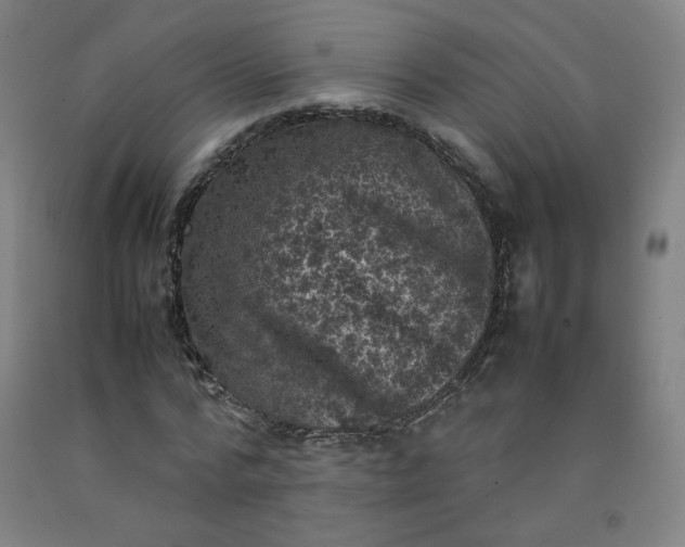 X0000092220776200709281042