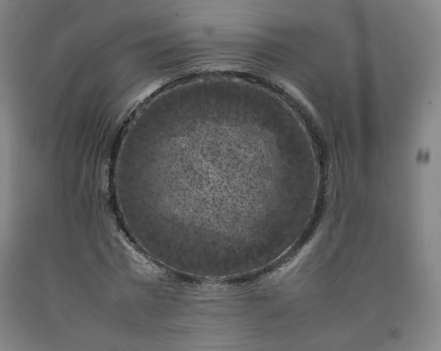 X0000092220777200709281042