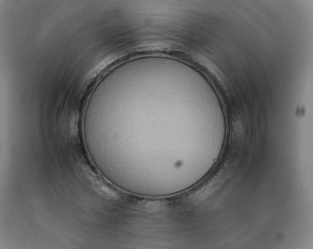 X0000092220778200709281042