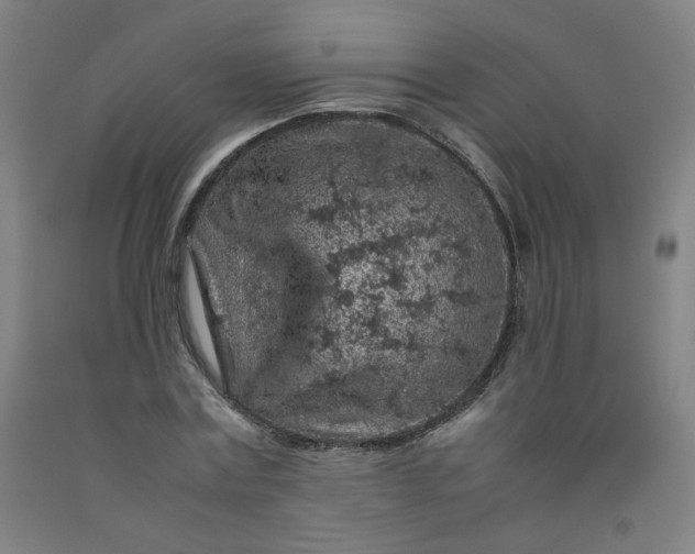 X0000092220779200709281042