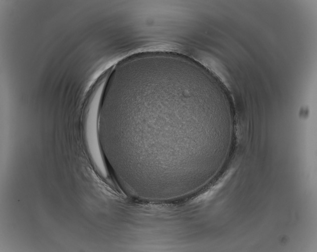 X0000092220781200709281042