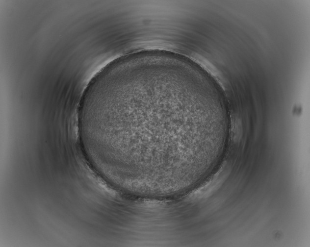 X0000092220782200709281042