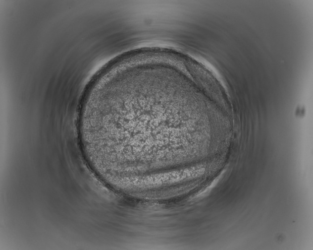 X0000092220783200709281042