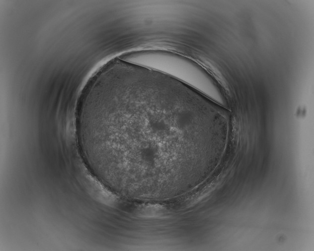 X0000092220784200709281042