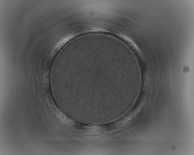 X0000092220785200709281042
