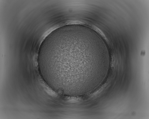 X0000092220786200709281042