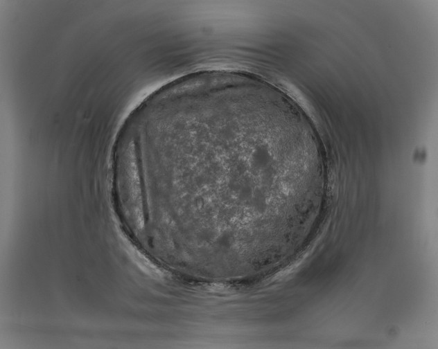 X0000092220787200709281042