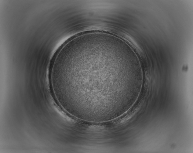 X0000092220788200709281042