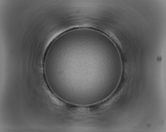 X0000092220789200709281042