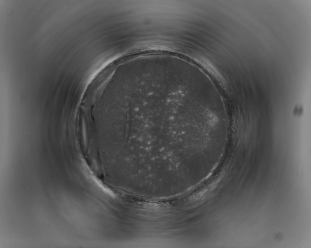 X0000092220790200709281042