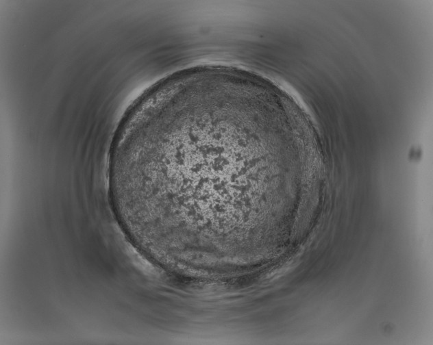 X0000092220791200709281042
