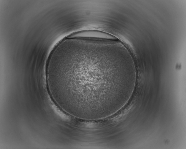 X0000092220792200709281042