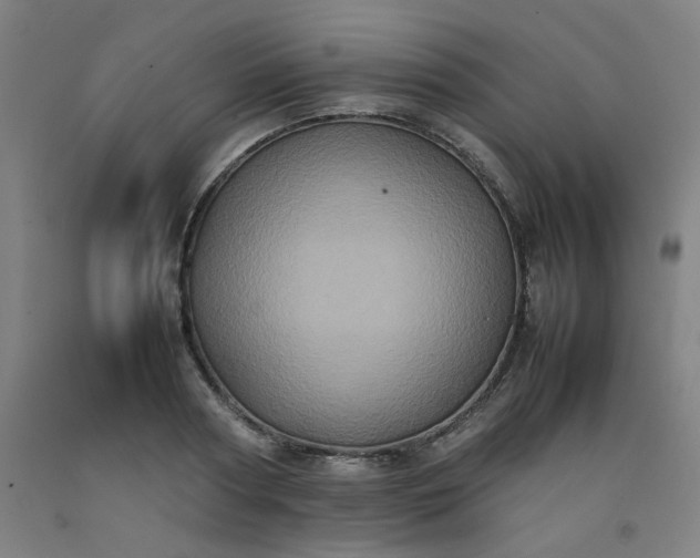 X0000092220794200709281042