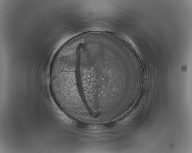 X0000092220795200709281042