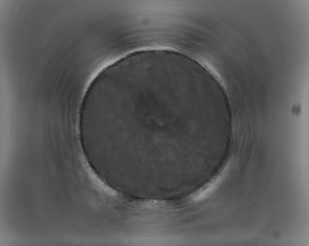 X0000092220797200709281042